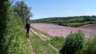 Stokenchurch  Bledlow Ridge  The Ridgeway  Chinnor  WalkID 49 [upl. by Pieter]