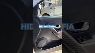 PERSONALIZADO DE INTERIOR SANDERO RS [upl. by Nolat670]