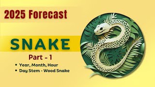 2025 Snake Zodiac Sign Part 1  Monthwise Forecast  Wood Snake Year  Alan Stirling [upl. by Lisbeth]