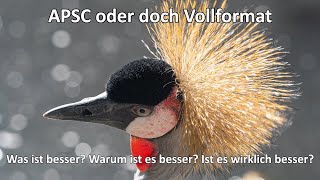 APSC oder Vollformat  Warum ich APSC nutze und was die für mich relevanten Unterschiede sind [upl. by Ybroc]