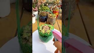 Succulent Recycling Secrets Every DIY Enthusiast Should Know [upl. by Ruhtracam]