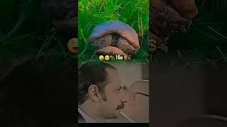 😅😅Funny😲video🐢lmout💲 dialdehkm3almgharba3alam🐸 [upl. by Alicea]