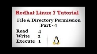 Basic Permission of Linux  Read Write amp Execute  Part  4 Video No  39 [upl. by Pirozzo]