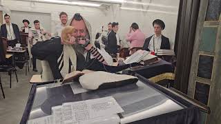 Rabbi Tzvi Elimelech Rokeach shofar blowing After shachris 5784 [upl. by Woods]