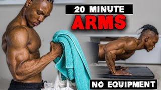 20 MINUTE ARMS WORKOUT NO EQUIPMENT  BICEPS TRICEPS amp SHOULDERS  FOR BEGINNERS ALSO [upl. by Annua]