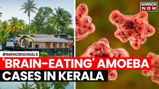 BrainEating Amoeba  All Things To Know About BrainEating Amoeba Which Triggered Panic In Kerala [upl. by Nalrah896]