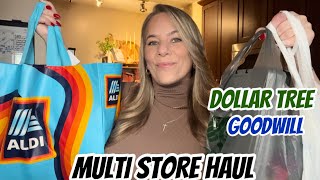 MULTI STORE HAUL  DOLLAR TREE  GOODWILL  ALDI  NEW ITEMS [upl. by Rafter]