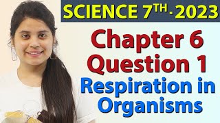 Q 1  Chapter 6  Respiration in Organisms  Science Class 7th NCERT [upl. by Mori61]