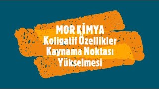 koligatif özellikler kaynama noktası yükselmesi 11sınıfAYT [upl. by Josie280]