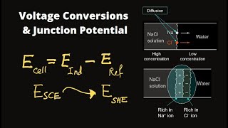 Potentiometry  Voltage Conversions amp Junction Potential [upl. by Beedon]