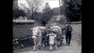 Dvogled Bistrica 1971 [upl. by Berna]