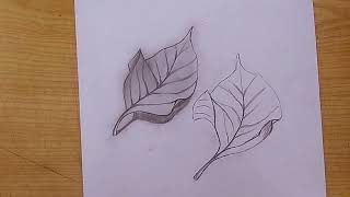 How to draw leaves Step by Step for beginners  Easy drawing [upl. by Nylkaj]