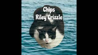 Riley Crizzle  Chips Official Video [upl. by Rumilly20]