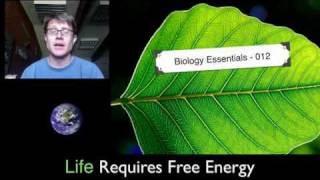 Life Requires Free Energy [upl. by Riaj]