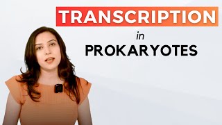 Transcription In Prokaryotes  In detail [upl. by Anailil]