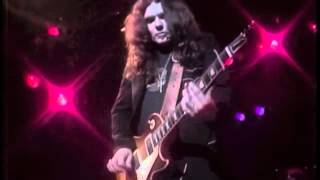 Lynyrd Skynyrd  Freebird Live 1979 Instrumental First Reunion  Volunter Jam V [upl. by Anuska141]