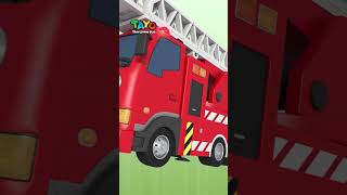 Rescue Team Heroes Shorts TayotheLittleBus BestSong [upl. by Nwahsd342]