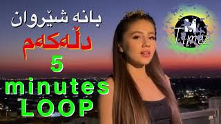 Bana Sherwan  Dilekem  بانە شێروان  دڵەکەم  ٥ خولەک [upl. by Ytomit]