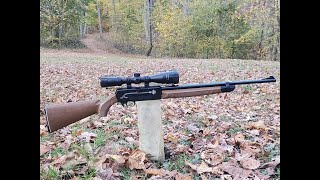 Crosman 2200 Magnum testing [upl. by Allerus]