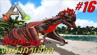 BGZ  ARK Crystal Isle EP16 จับมังกรเลือด Blood Crystal Wyvern [upl. by Nelluc]