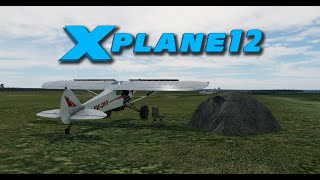 Just an XPlane [upl. by Nivanod]