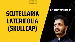 Scutellaria laterifolia skullcap Lecture on Homeopathic medicine by Dr Rohit Deshpande [upl. by Staci]