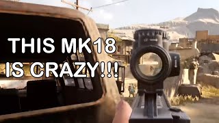 This MK18 Mod 1 is Crazy [upl. by Piscatelli264]