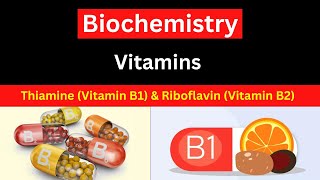 Biochemistry Vitamins Thiamine Vitamin B1 amp Riboflavin Vitamin B2 [upl. by Marie-Ann69]