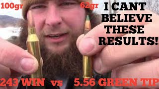 556 Nato Green Tips VS 243 Win Penetration test which round is best [upl. by Aled]