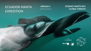 Ecuador Manta Expedition  Ep 5 Oceanic Manta Ray Global Threats I Manta Trust [upl. by Tallula294]