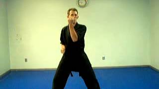 KENPO KARATE for BEGINNERS LESSON 1 [upl. by Schuster315]