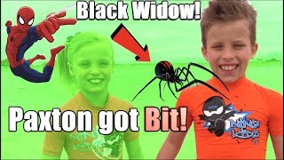 Paxton got bit by a BLACK WIDOW HE is SPIDERMAN [upl. by Nylcaj]