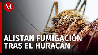 Arranca hoy el plan Todos contra el dengue en Acapulco tras el huracán John [upl. by Eeral242]