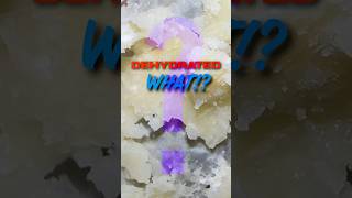 What have I done airfryer dehydrate cooking food airfryerrecipes dehydrated [upl. by Stanfield]