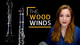 Instruments 102 Woodwinds [upl. by Imojean992]