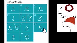 IPA chart with mouth positions  Fricatives Plosives Affricates Approximants  Tune Your English [upl. by Arutak]