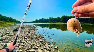 Catching Catfish In August Maumee River Bank Fishing [upl. by Esyak395]