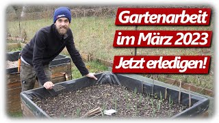 Gartenarbeit März  Möhren Aussaat Lavendelschnitt Beerenobst pflanzen Steckzwiebeln anbauen [upl. by Eiramrefinnej]