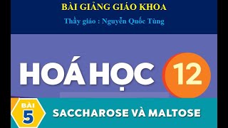 Bài 5 hóa học 12 Saccharose và Maltose Chào Thầy Tùng [upl. by Ttik294]