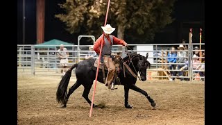 Introduction to the Garrocha Pole and Exercises [upl. by Gunning724]