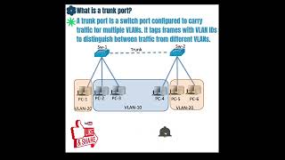 What is a trunk port vlan ccna computernetwork networkarchitecture ccnanetworkengineer network [upl. by Araas]