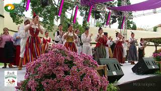 BAILINHO DA MADEIRA  Grupo de Folclore Monteverde na Festa do Vinho Madeira 2018 [upl. by Socher]