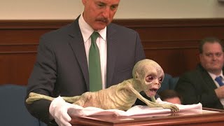 Scientists Found An Alien In Mexico What Happened Next Shocked Everyone [upl. by Leontina103]