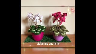 Ciclamino alluncinetto  tutorial [upl. by Favien]