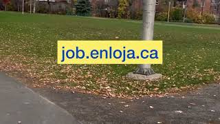 Modèle CV Canadien 🇨🇦 gratuit à télécharger immigration canada enloja [upl. by Naawaj]