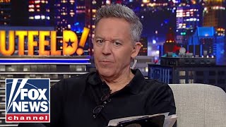 Gutfeld Democrats are panicking [upl. by Candie459]