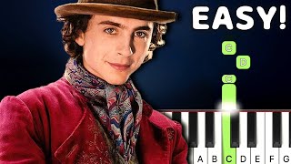 A Hatful Of Dreams  Wonka  EASY Piano Tutorial [upl. by Asilrac784]