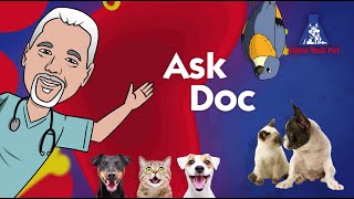 Ask Doc About Animal Care Sanitation [upl. by Aikaz]