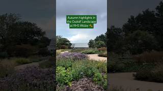 Autumn horticultural highlights in the Piet Oudolf Landscape at RHS Garden Wisley rhs gardening [upl. by Philipa]