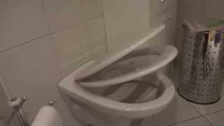 Super Cool AntiSlam Toilet Seat [upl. by Aihsenod]